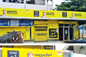 portfolio of sinage industry